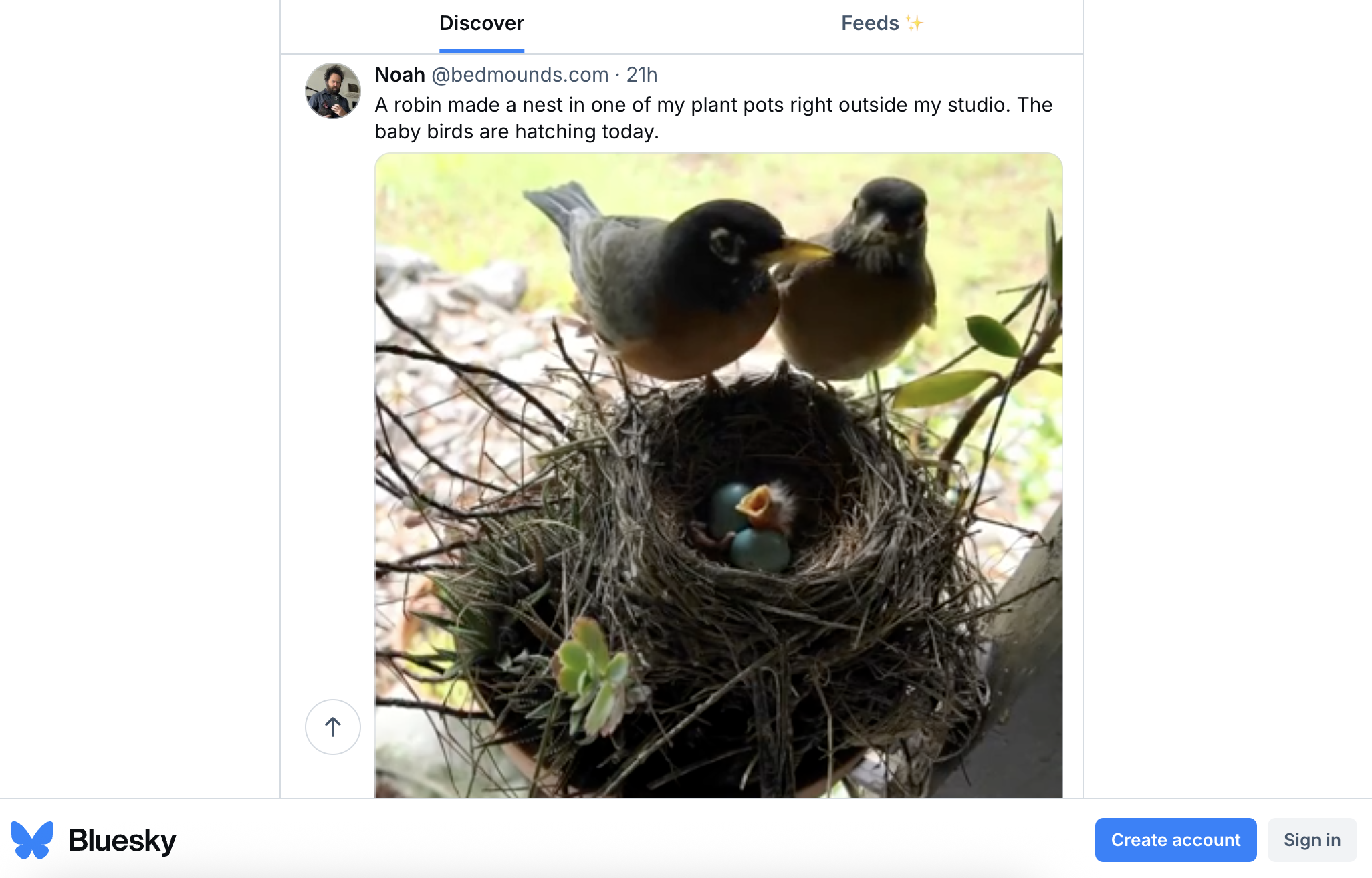 bluesky social media platform